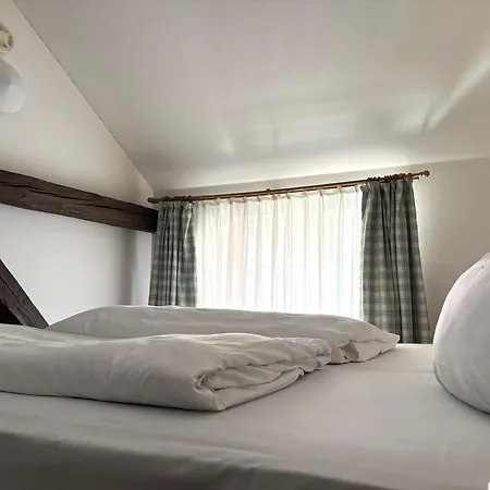 Goldener Adler 3* Hallstadt